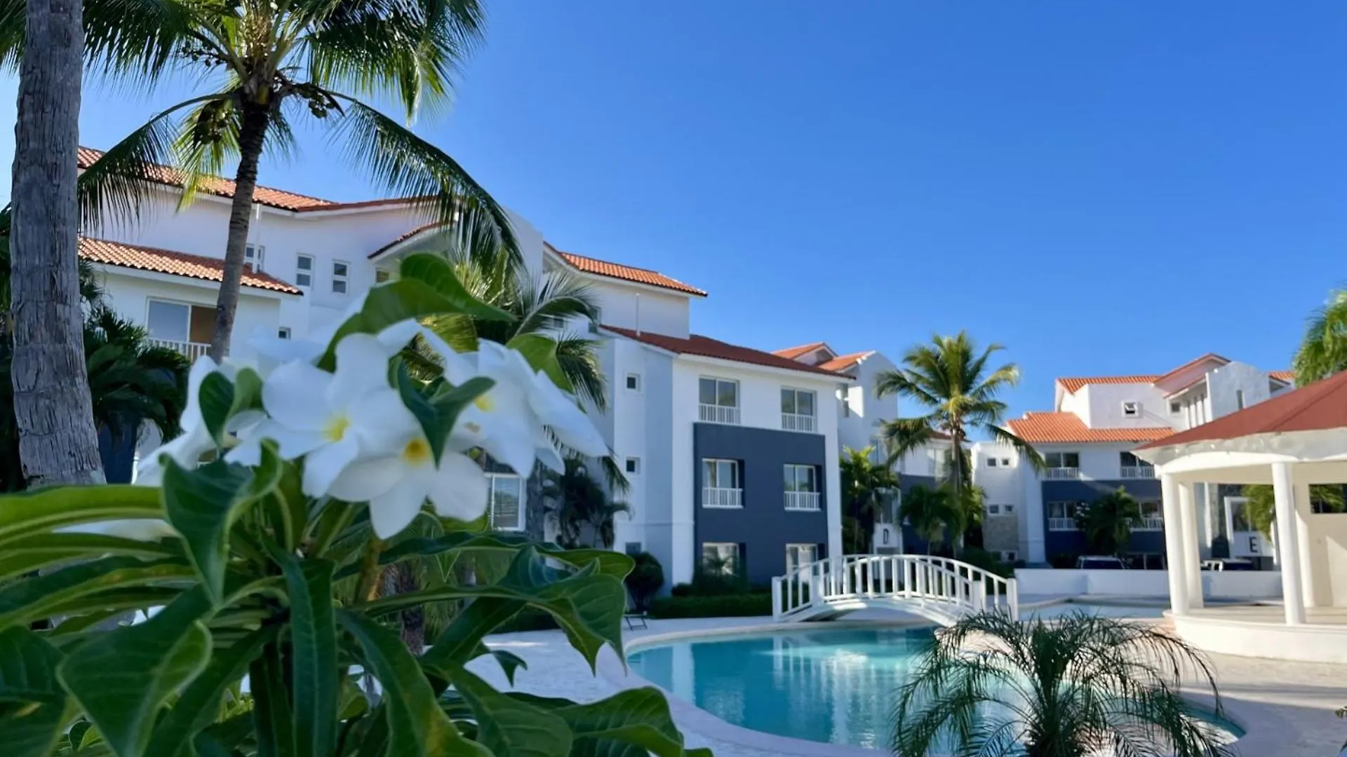 kontakty Spacious 1 Bedroom Appartment In Sunny Paradise