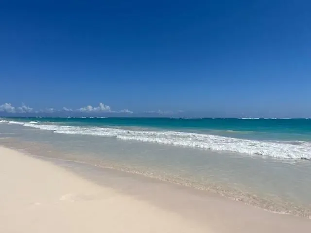 アパート Spacious 1 Bedroom Appartment In Sunny Paradise プンタ・カナ ドミニカ共和国